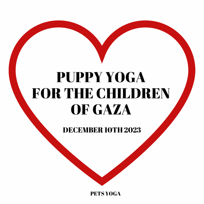 PUPPY YOGA FOR THE CHILDREN OF GAZA -  LONDON  - DECEMBER 10TH 2023  - COCKAPOOS -  FULHAM