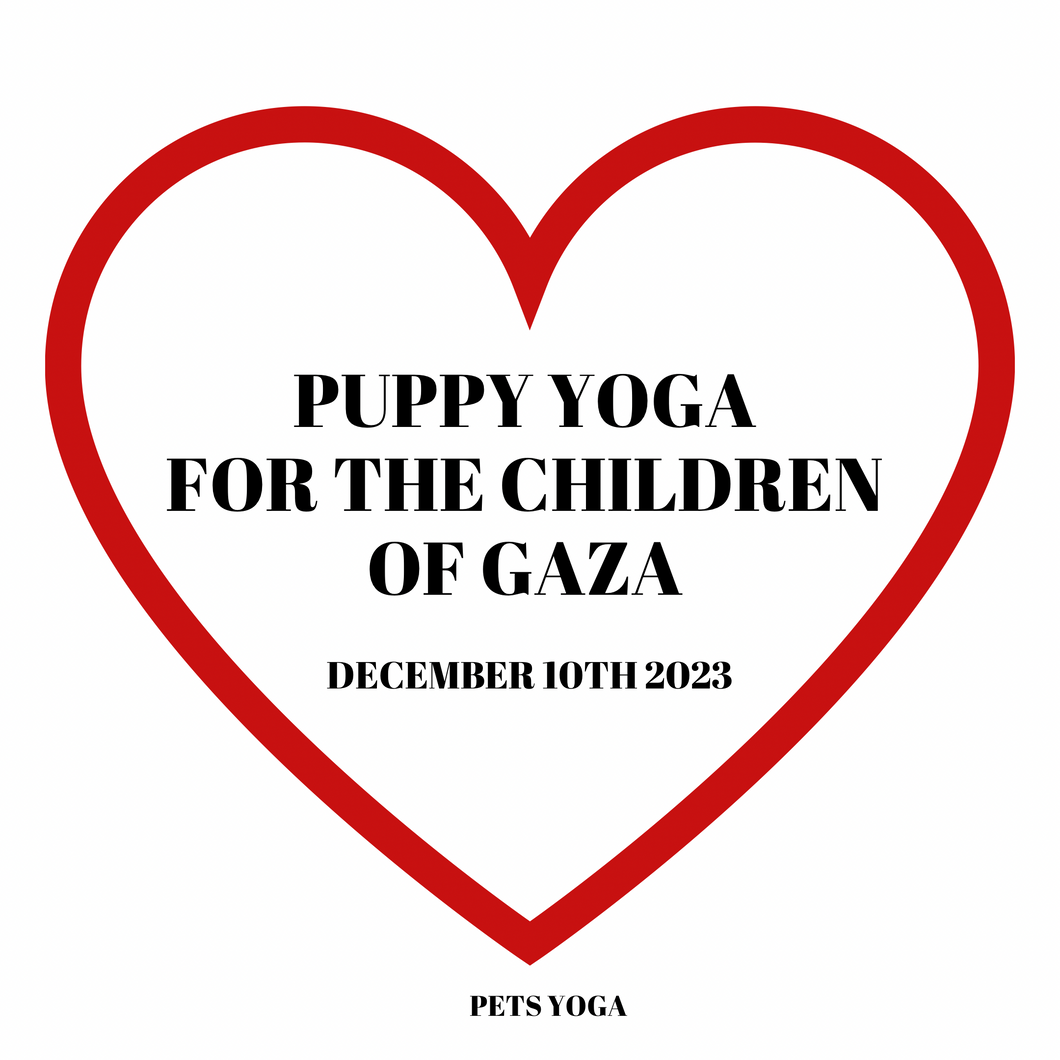 PUPPY YOGA FOR THE CHILDREN OF GAZA -  LONDON  - DECEMBER 10TH 2023  - COCKAPOOS -  FULHAM