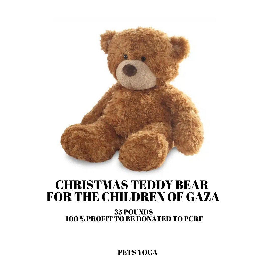 TEDDY BEARS SALE FOR THE CHILDREN OF GAZA -  LONDON  - DECEMBER 10TH 2023 - FULHAM