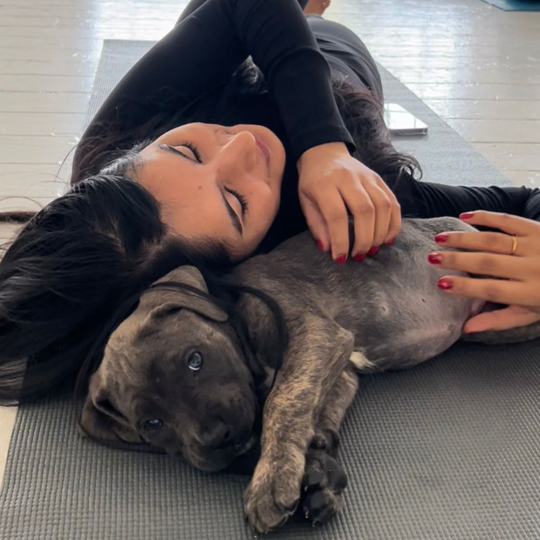 PUPPY YOGA LONDON - APRIL 1ST, 2ND, 3RD 2025  - ANDAZ LIVERPOOL STREET - PART 1
